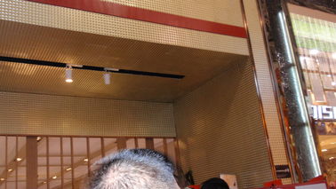 Revêtements muraux extérieurs modernes décoratifs de panneaux de mur 3D de supermarché imperméables